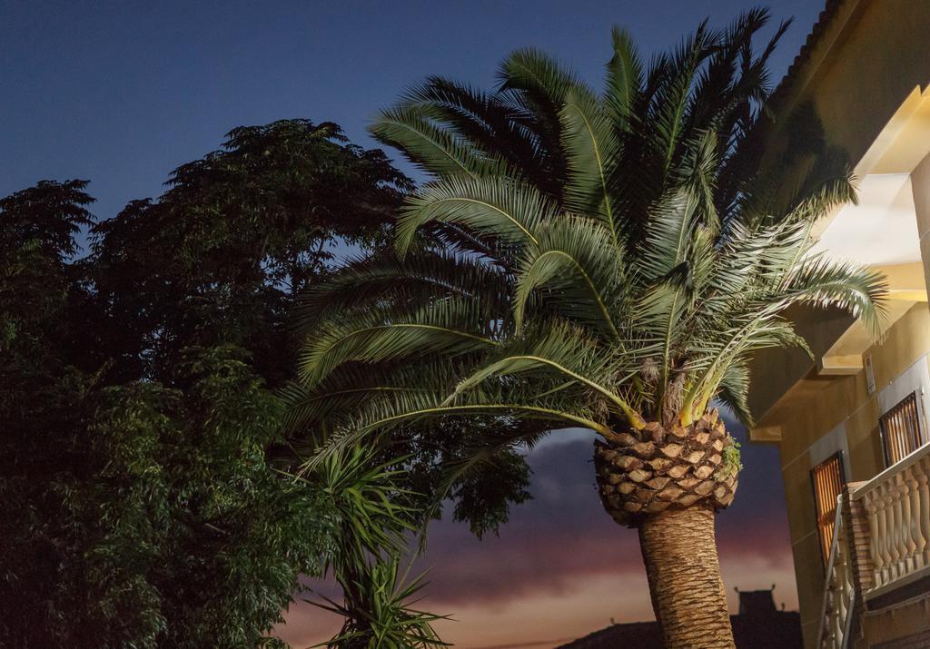 Casa Rural La Piedra De Juana Malpartida de Cáceres Dış mekan fotoğraf